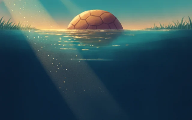 Seagrass Lagoon — a turtle-shaped rock in calm turquoise water.